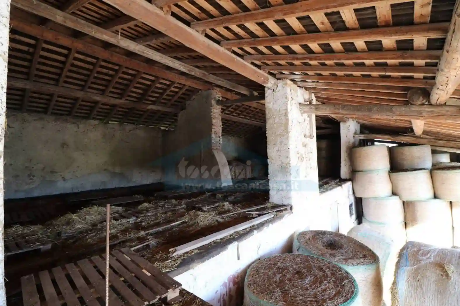 Rustico - Casale - foto 4