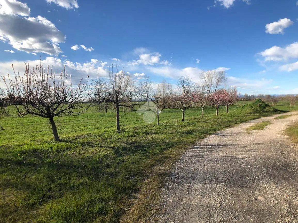 Rustico - Casale in vendita a Castelbelforte