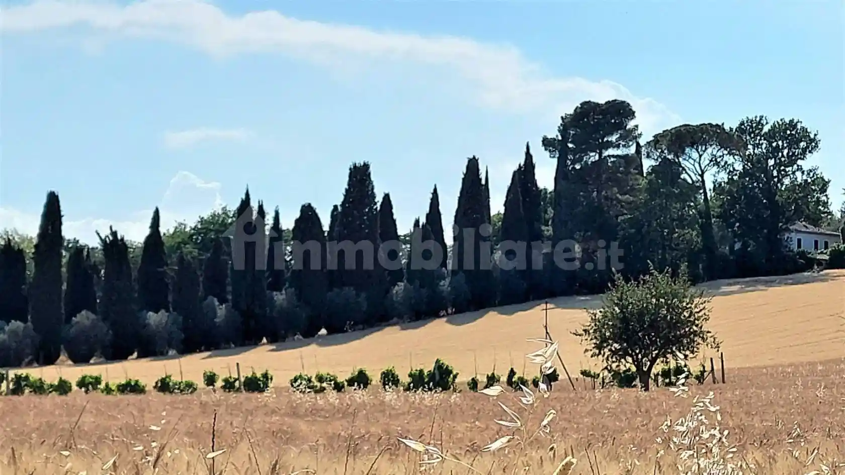 Villa unifamiliare, da ristrutturare, 600 m², Santa Lucia, Jesi - foto 4