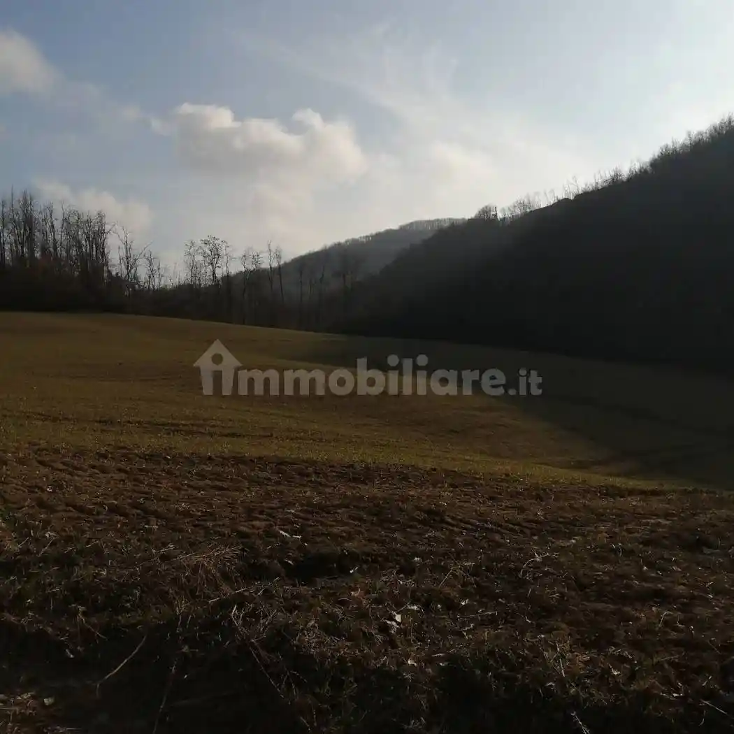 Rustico Borgata Isole, Camerana - foto 4