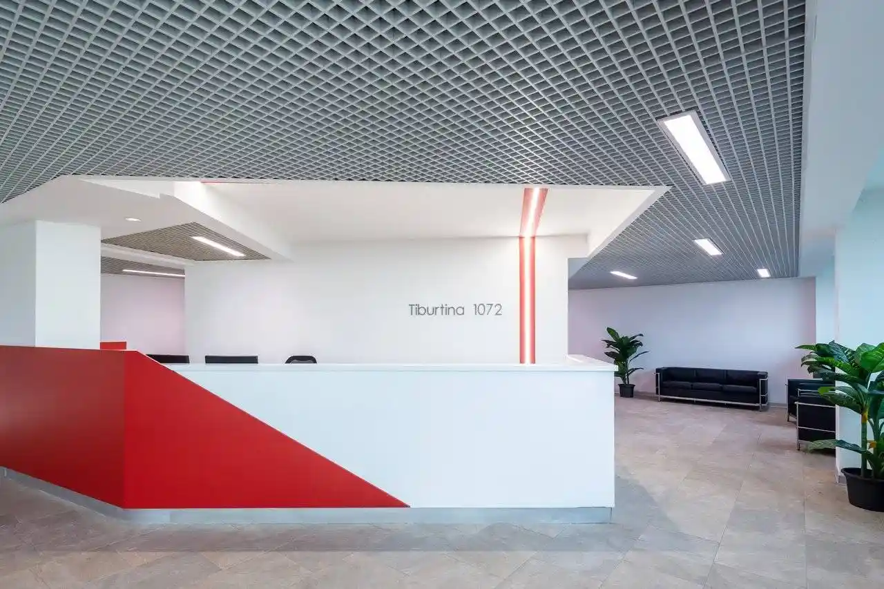 Palazzo - Edificio in Affitto - foto 4