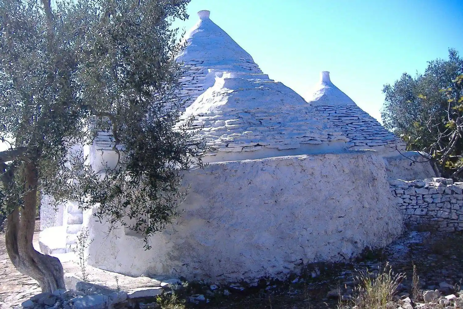 Rustico - Casale in vendita a Ceglie Messapica