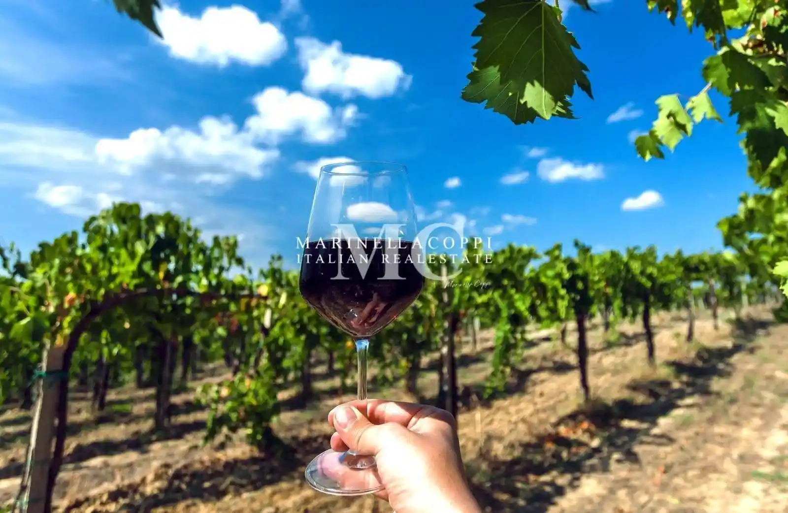 Rustico - Casale in vendita a Greve in Chianti