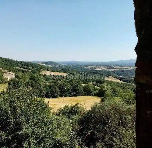 Rustico - Casale in vendita a Sorano