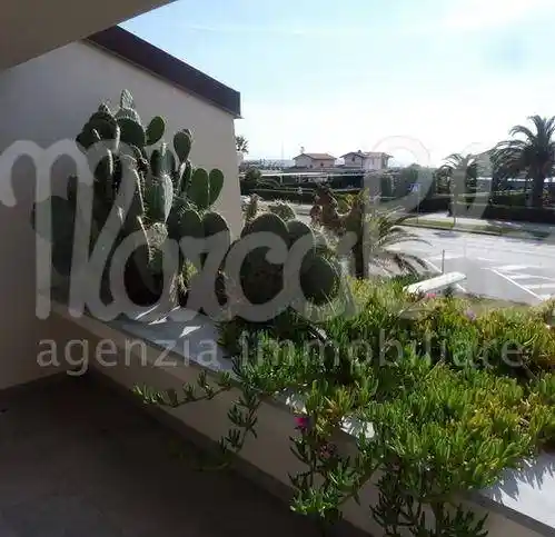 Villa in affitto a Forte dei Marmi