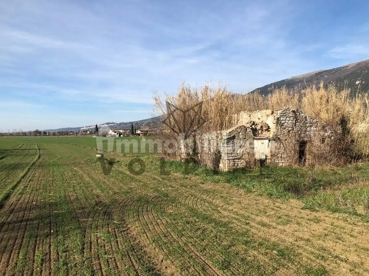 Rustico - Casale in vendita a Spello