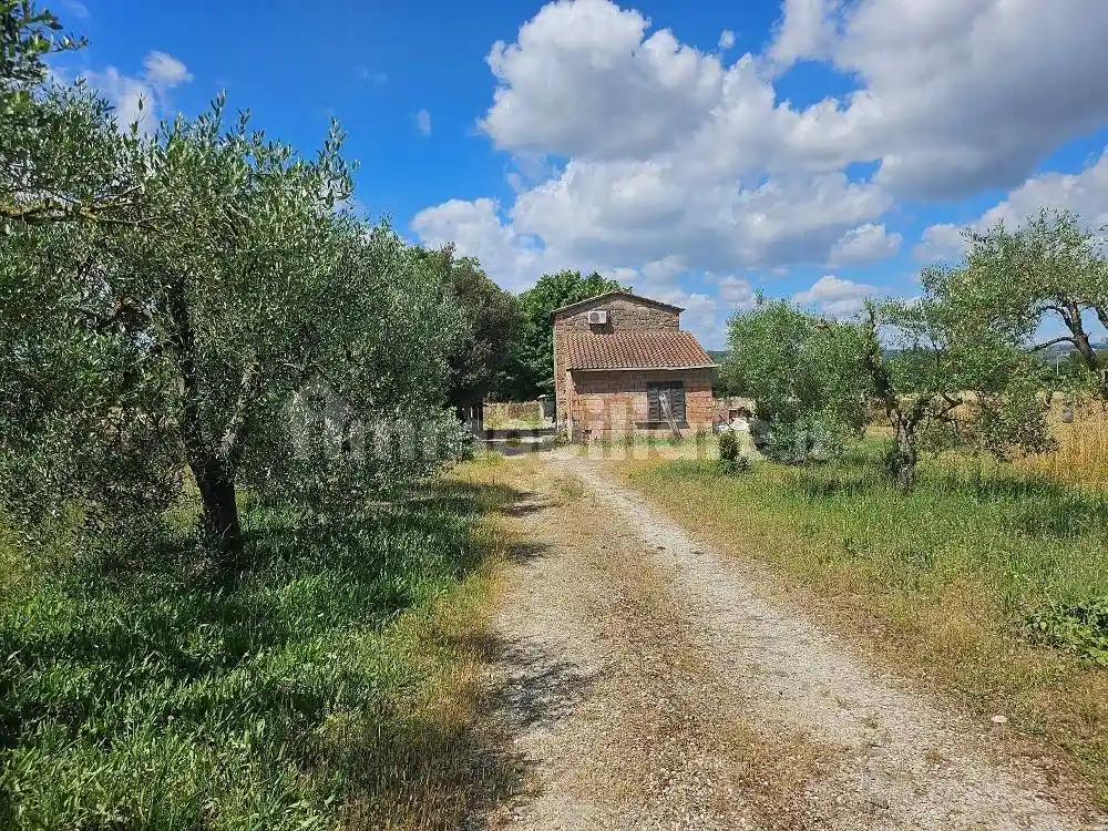 Rustico - Casale in vendita a Attigliano