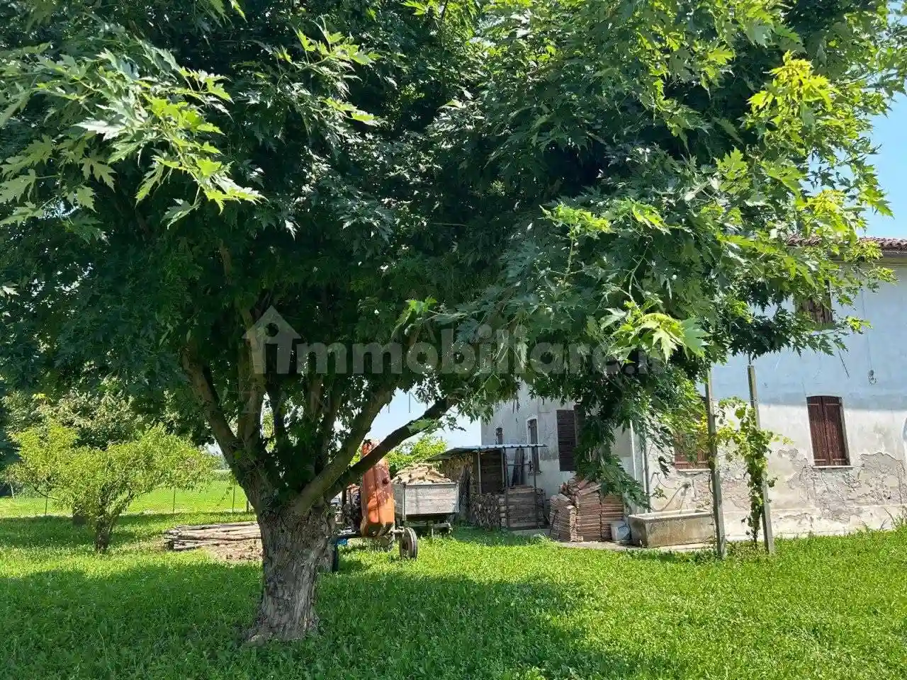 Rustico - Casale - foto 3