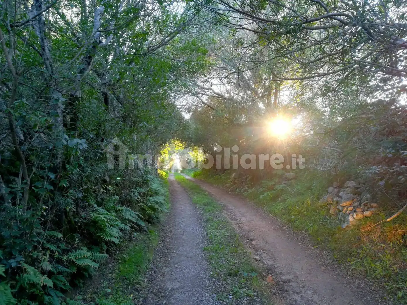 Villa in affitto a Arzachena