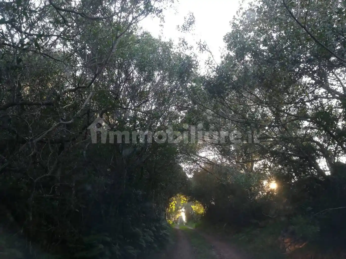 Villa unifamiliare Sp115, Arzachena Paese, Arzachena - foto 2