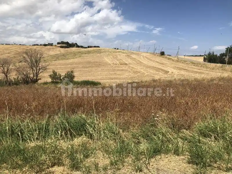 Appartamento da ristrutturare, piano terra, Centro, Gissi - foto 5