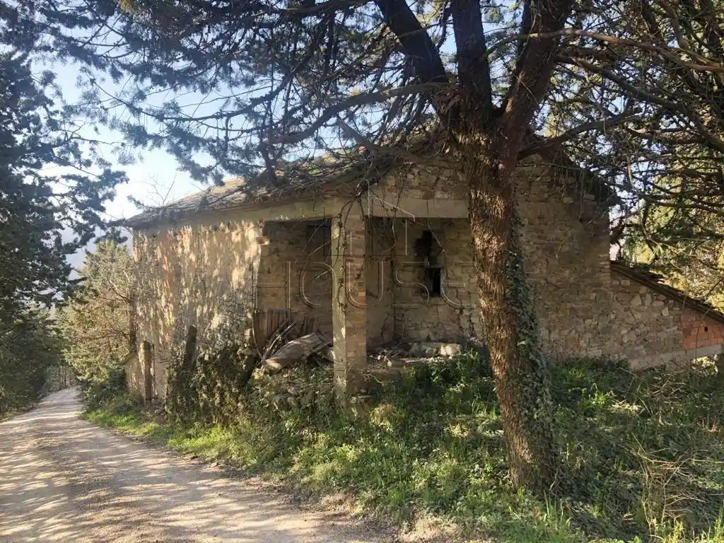 Rustico - Casale in vendita a Città di Castello