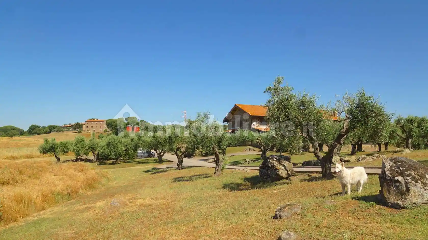 Villa in affitto a Nepi
