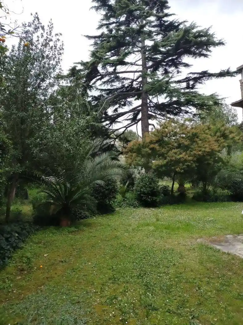 Casale via Roma 190, Silvi Marina, Silvi - foto 5