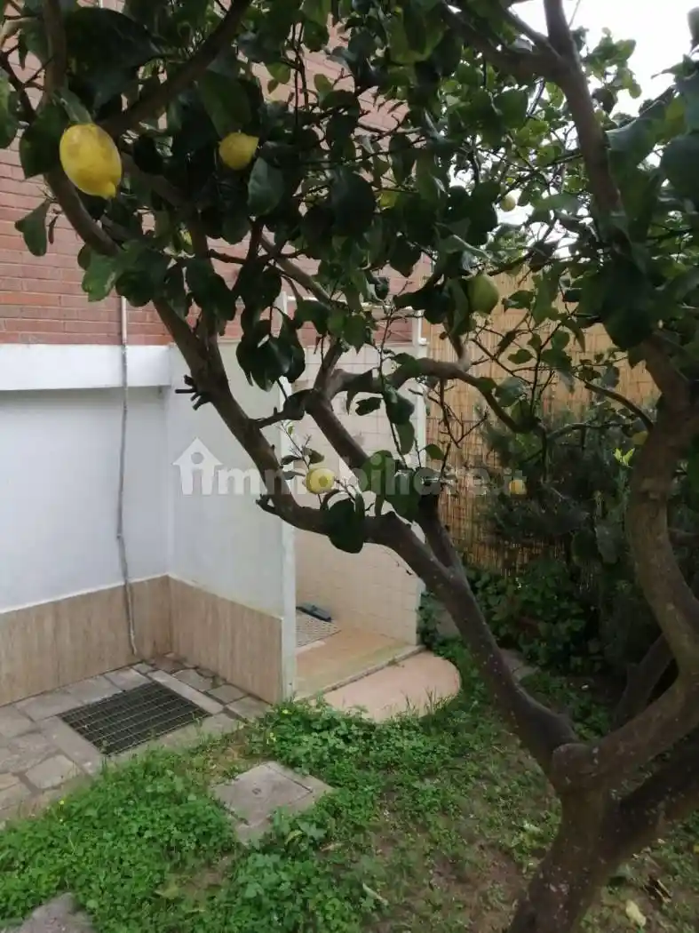 Bilocale Strada Regionale Pontina, Borgo Hermada, Terracina - foto 2