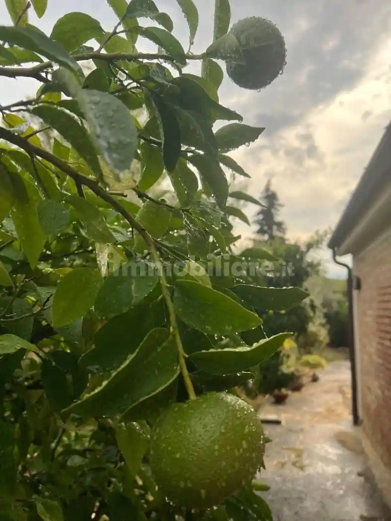 Casale Contrada Galliano 13, Loreto Aprutino - foto 5