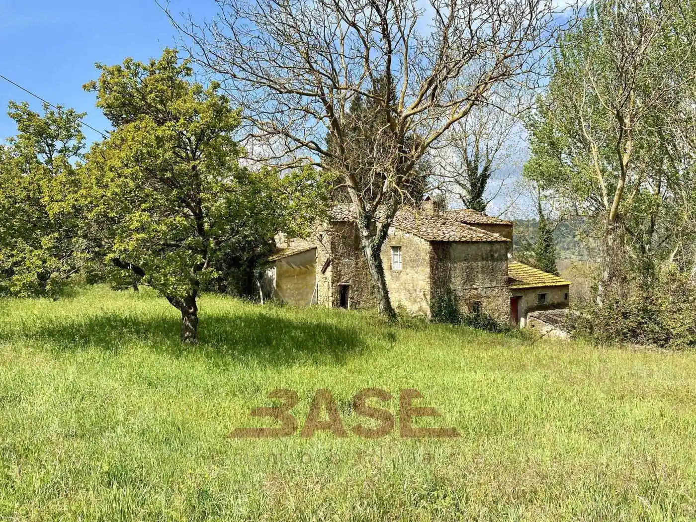 Rustico - Casale in vendita a Montescudaio