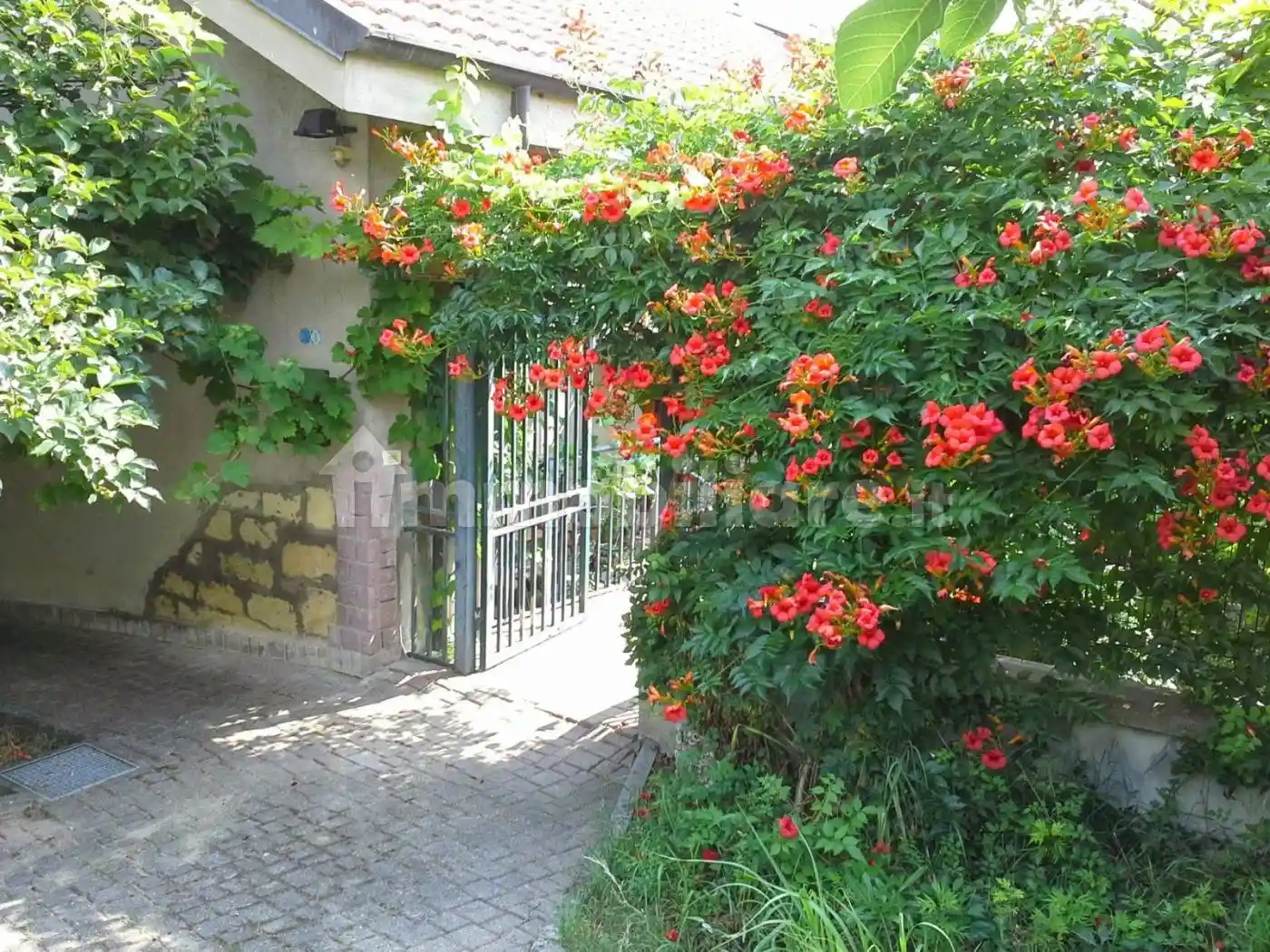 Casale regione Mandoletta, San Germano, Casale Monferrato - foto 2