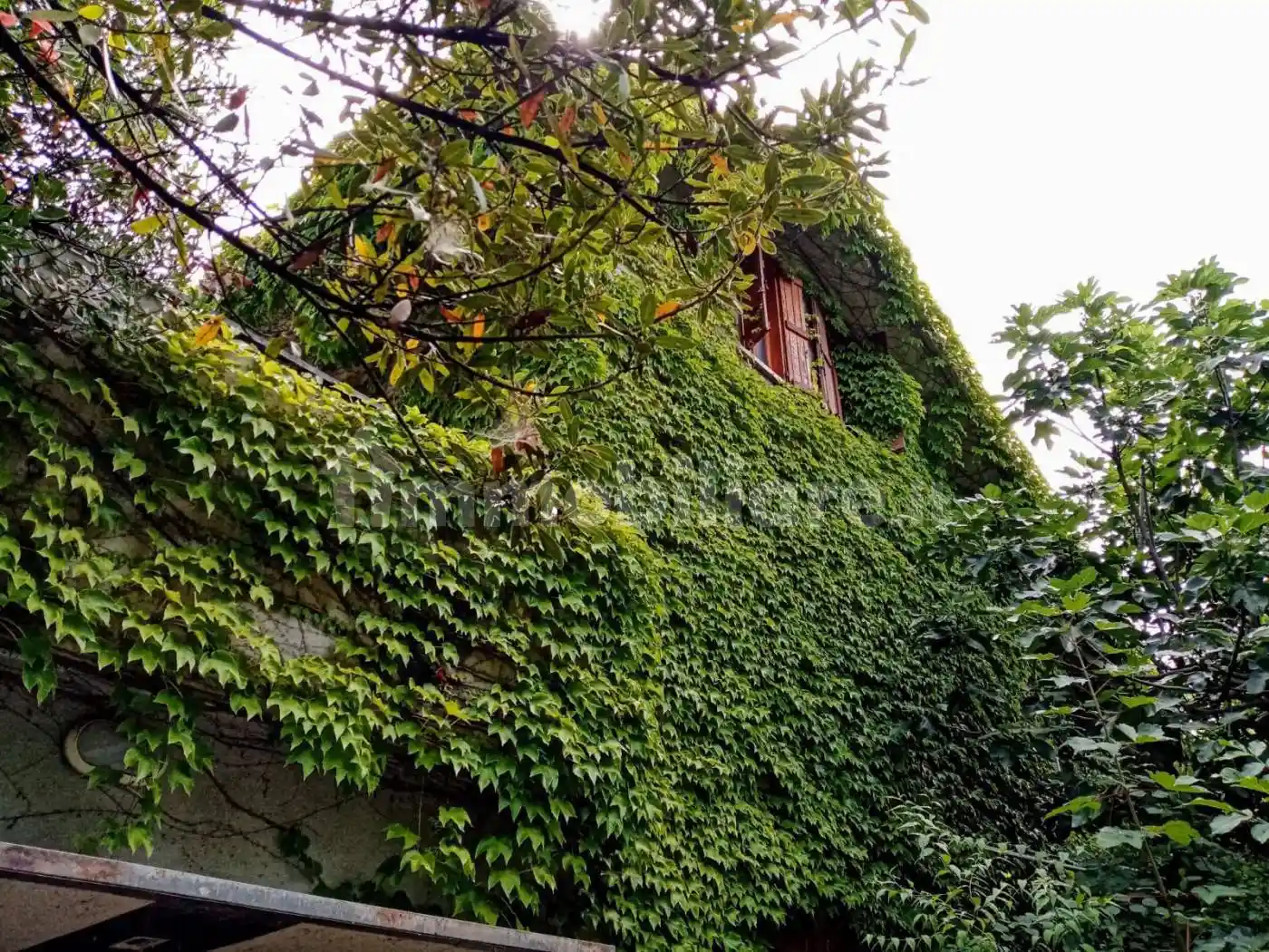 Casale regione Mandoletta, San Germano, Casale Monferrato - foto 3