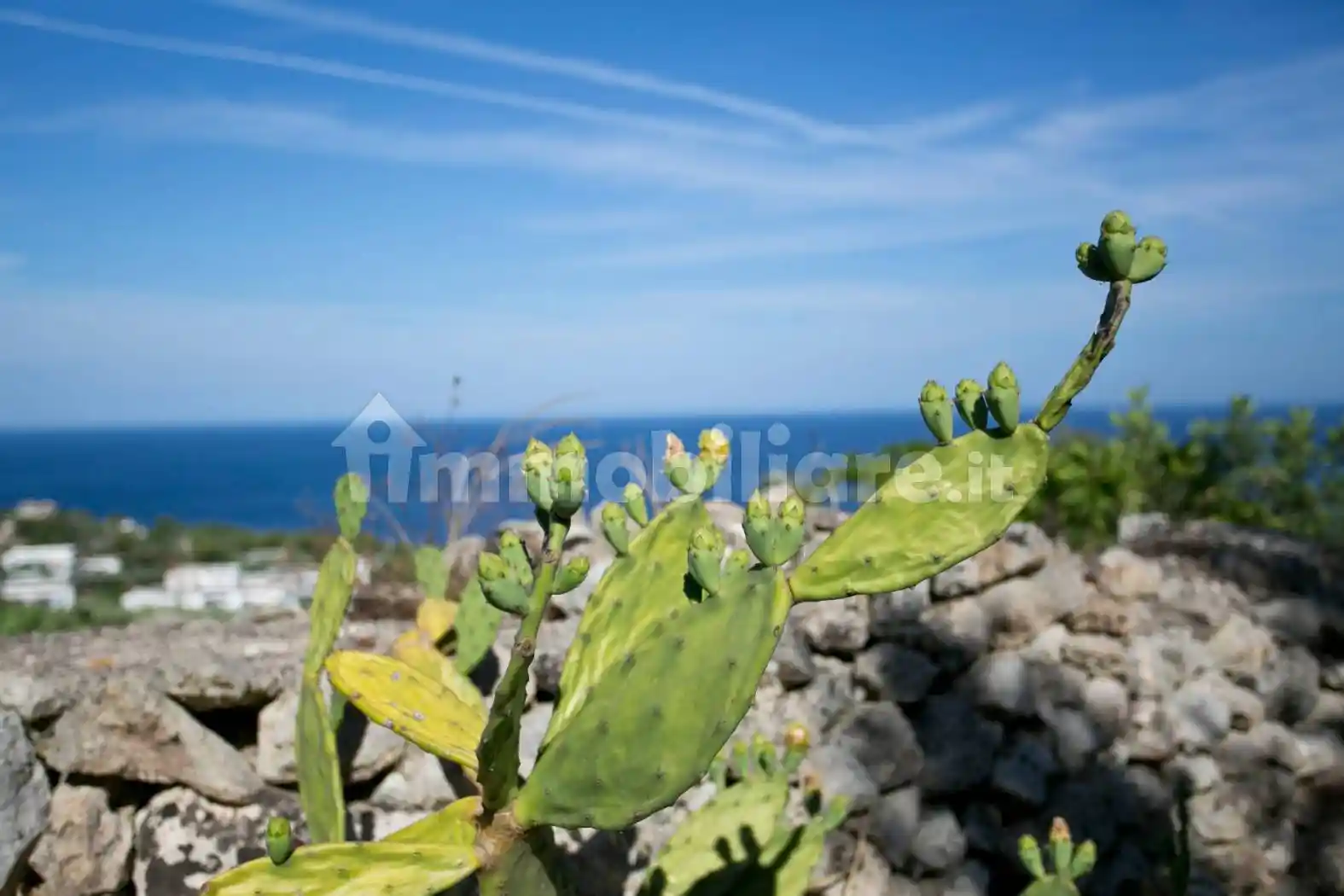 Villa in vendita a Gagliano del Capo