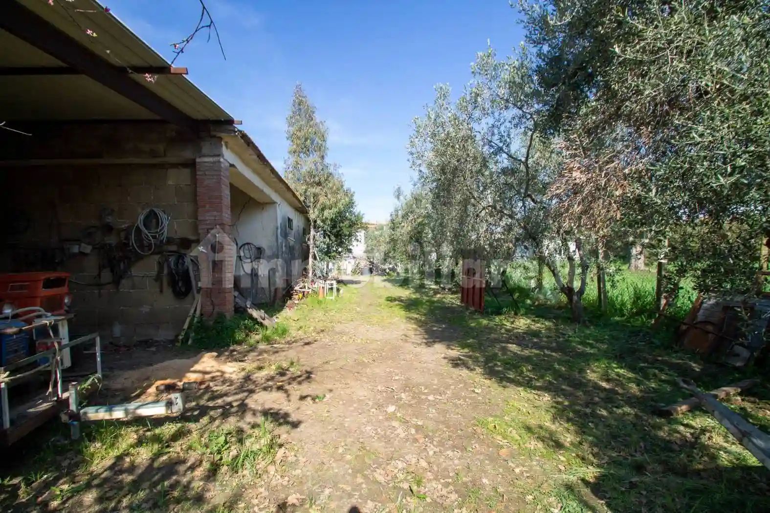 Rustico - Casale - foto 3