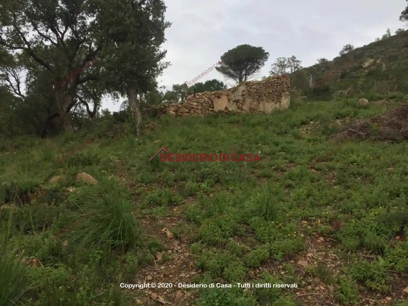 Villa in vendita a Cefalù