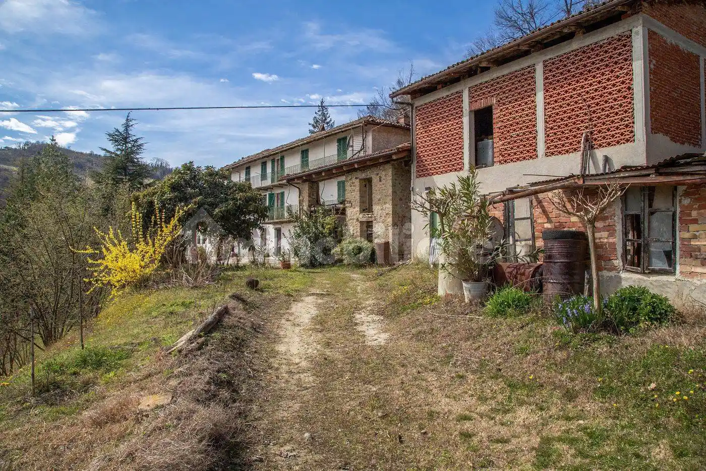 Casale Località Rovere Strada Sollito, Cossano Belbo - foto 2