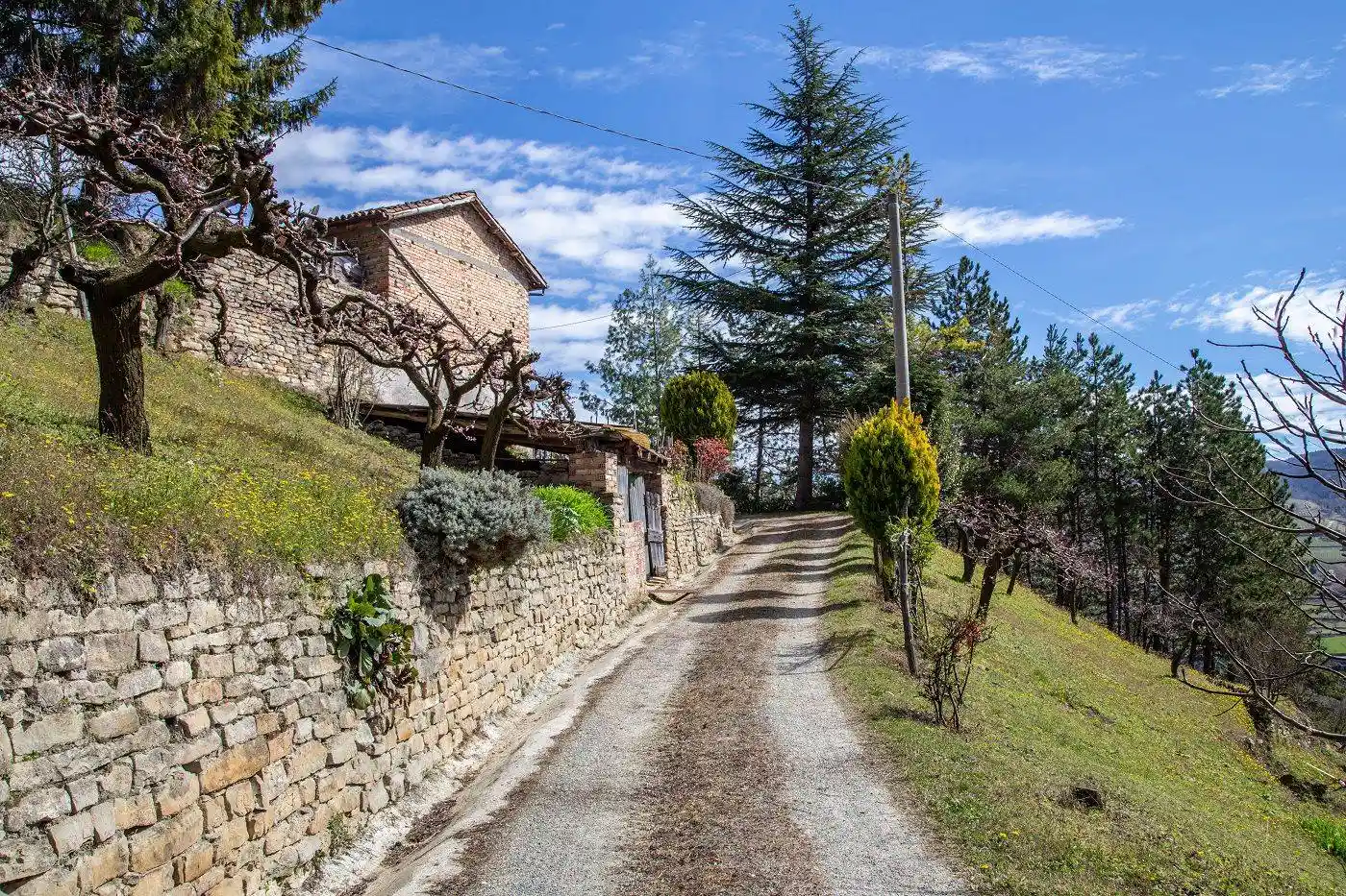 Casale Località Rovere Strada Sollito, Cossano Belbo - foto 5