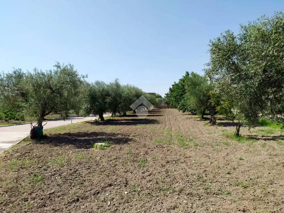 Villa in vendita a Foggia