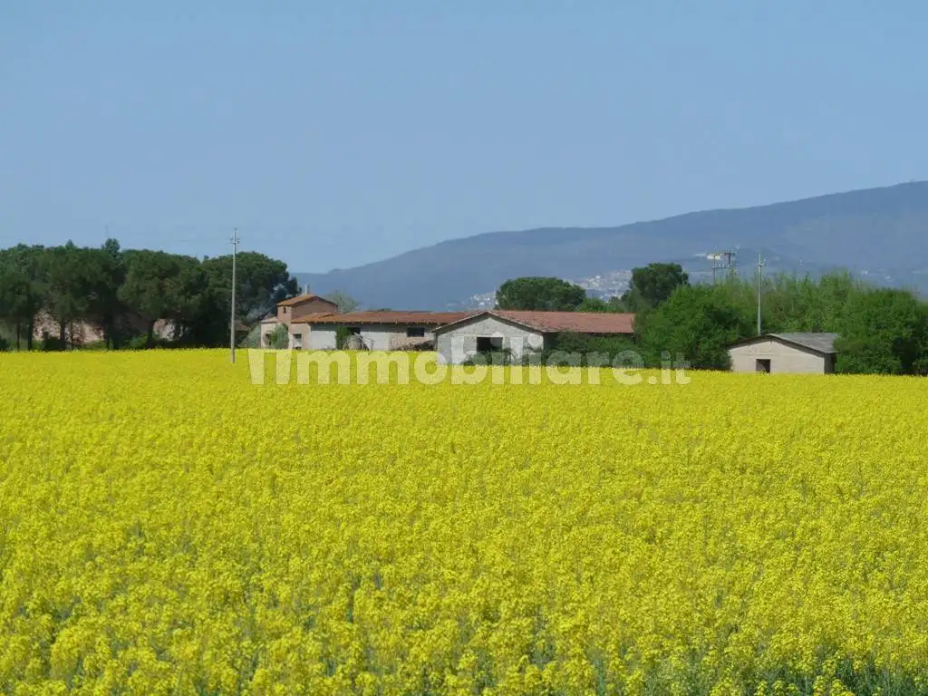 Rustico - Casale in vendita a Castiglione del Lago
