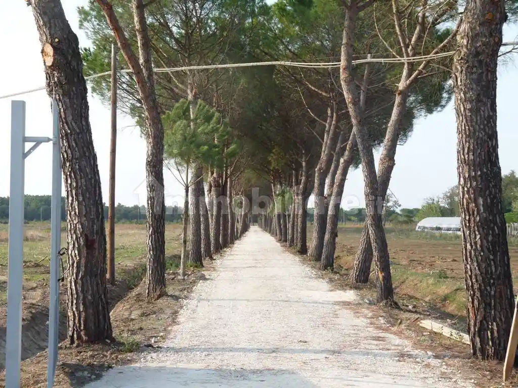 Casale Località Bertoni 63, I Bertoni, Castiglione del Lago - foto 4