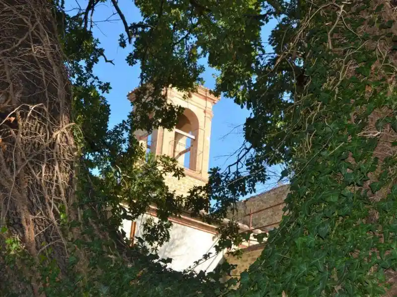 Rustico - Casale in vendita a Torgiano