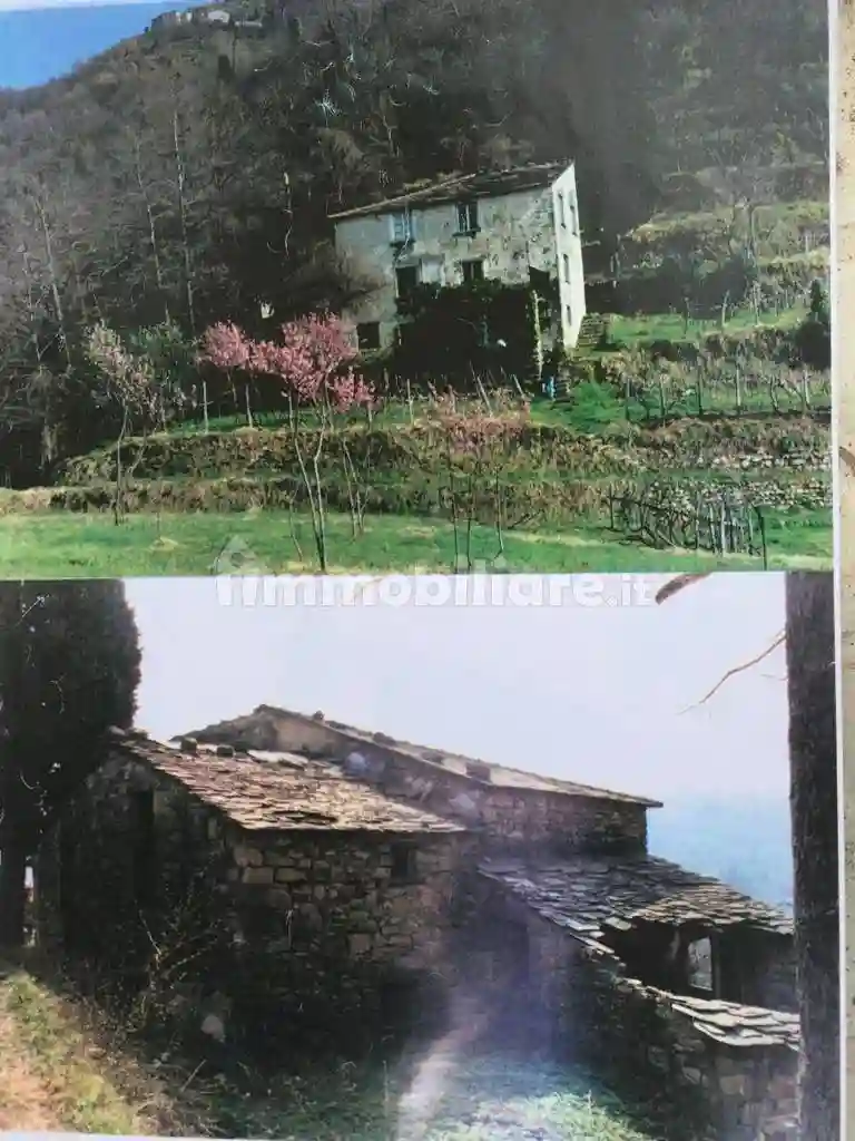 Palazzo - Edificio - foto 4