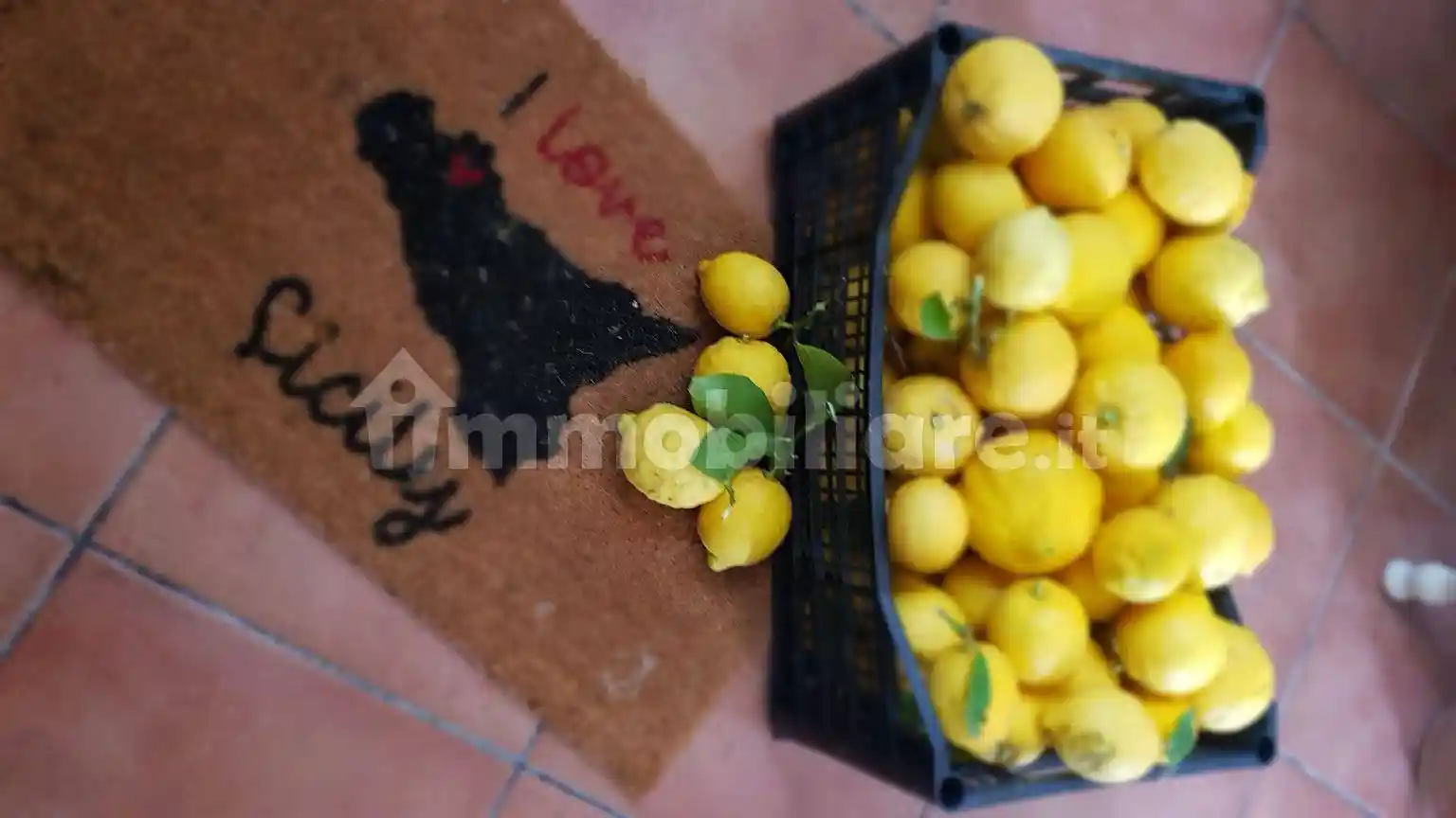 Villa in affitto a Monreale