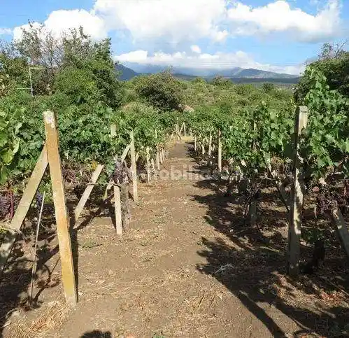 Rustico - Casale in vendita a Zafferana Etnea
