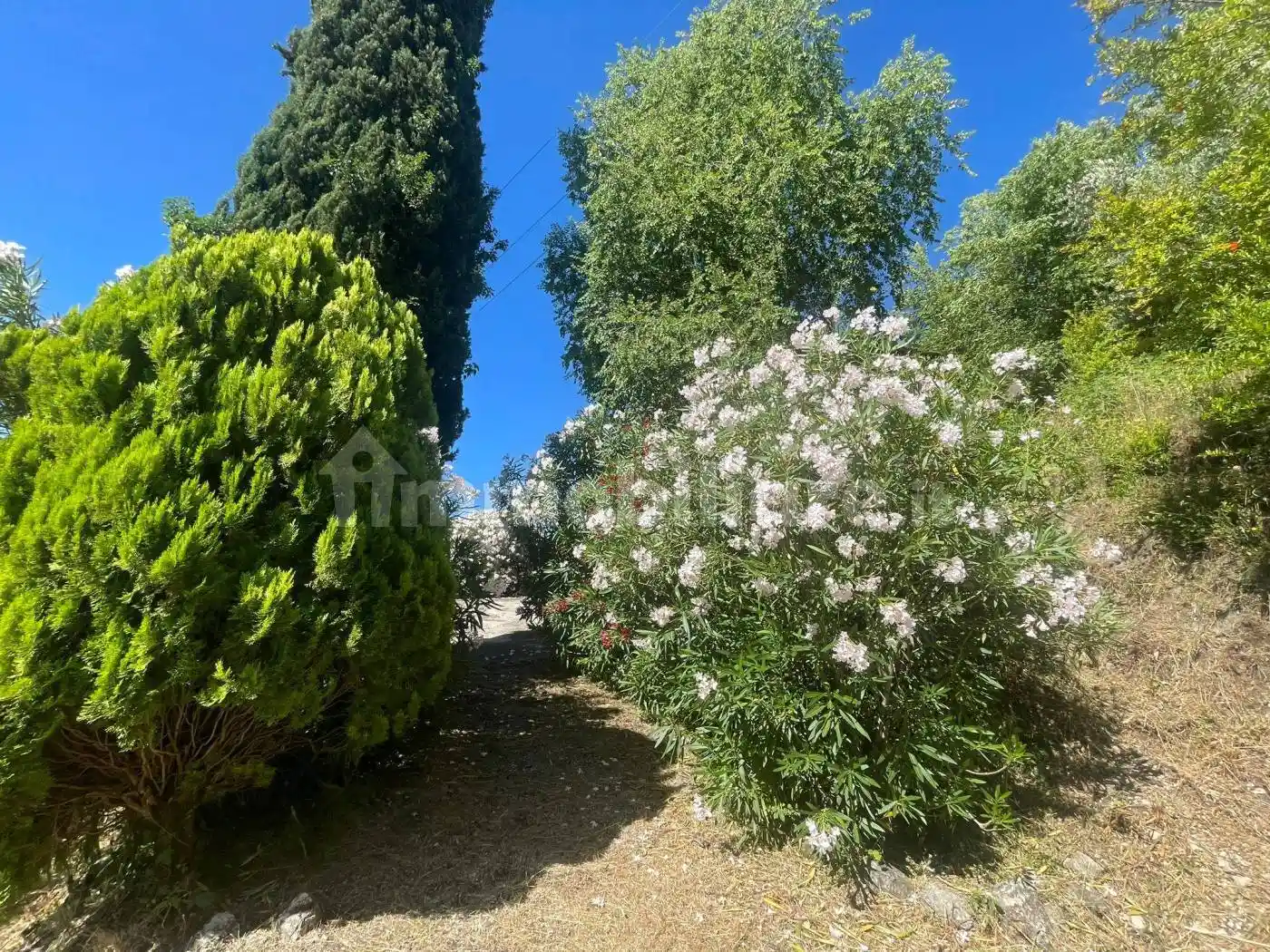 Casale via Colle d'Agnese, Vicalvi - foto 3