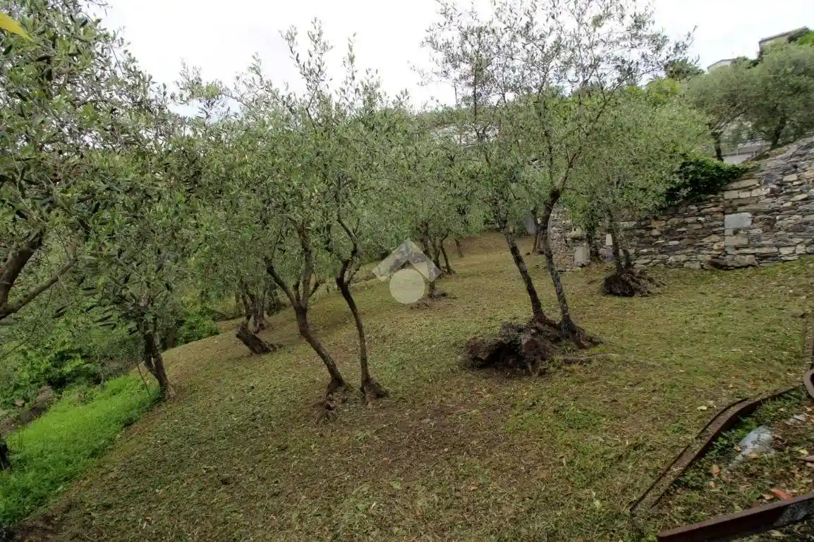 Rustico - Casale in vendita a Leivi