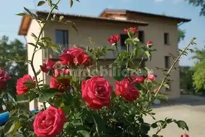 Casa indipendente in vendita a Toano