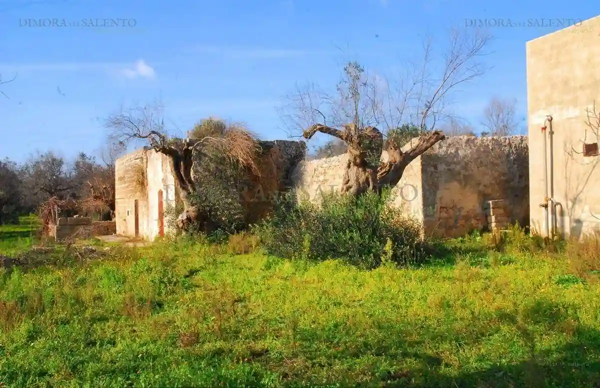 Rustico - Casale - foto 2