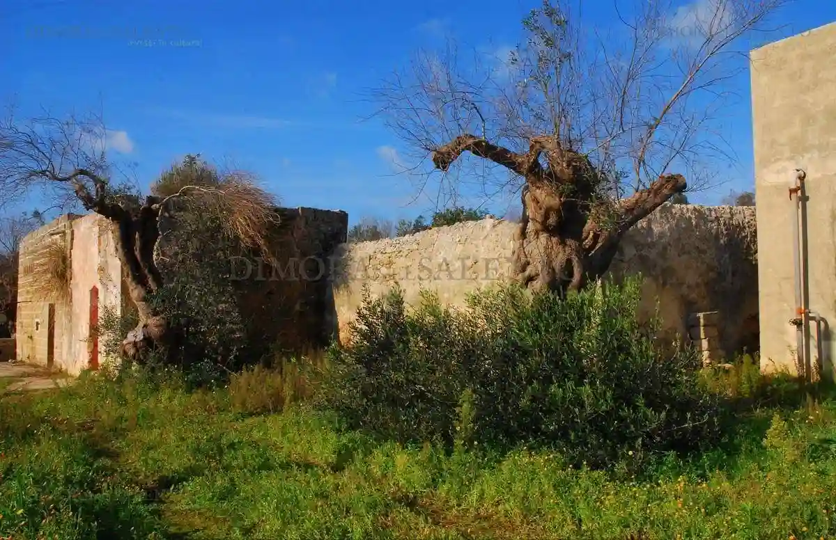 Rustico - Casale - foto 3