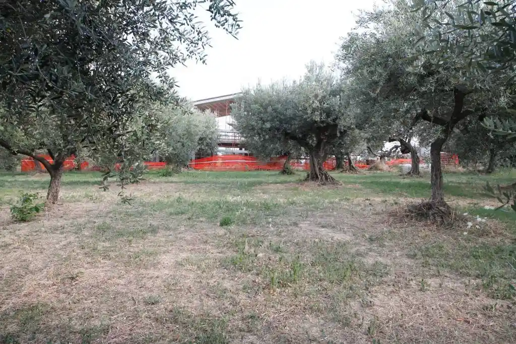 Villa unifamiliare Strada Comunale Cerratina, Pianella - foto 5