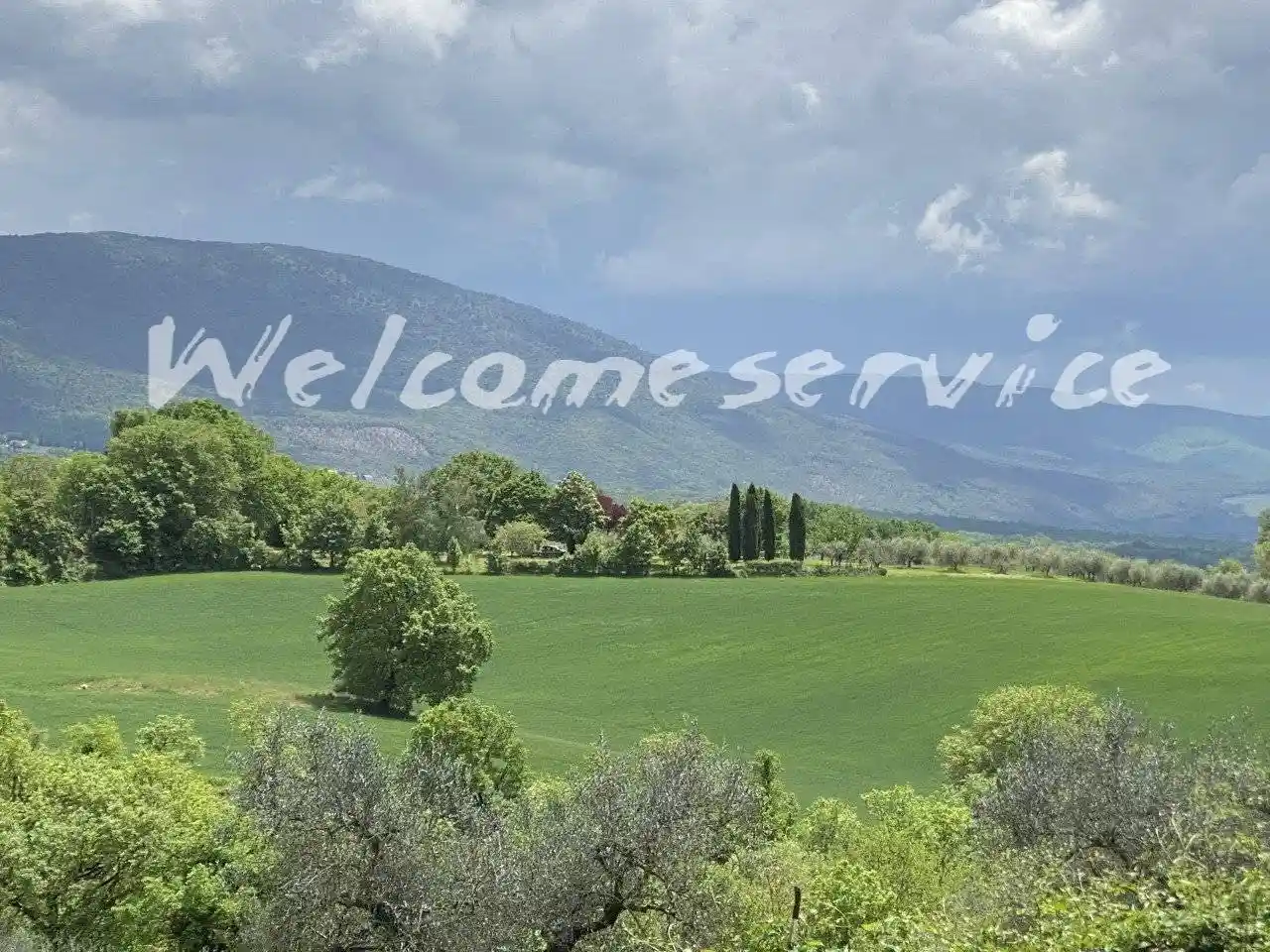 Rustico - Casale in affitto a Massa Martana