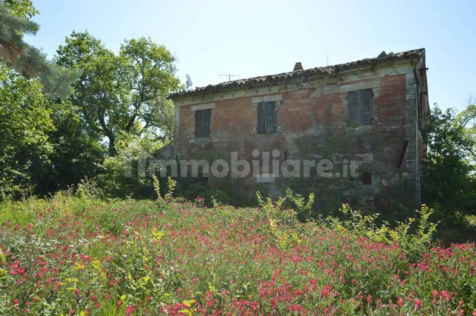 Rustico - Casale in vendita a Belvedere Ostrense