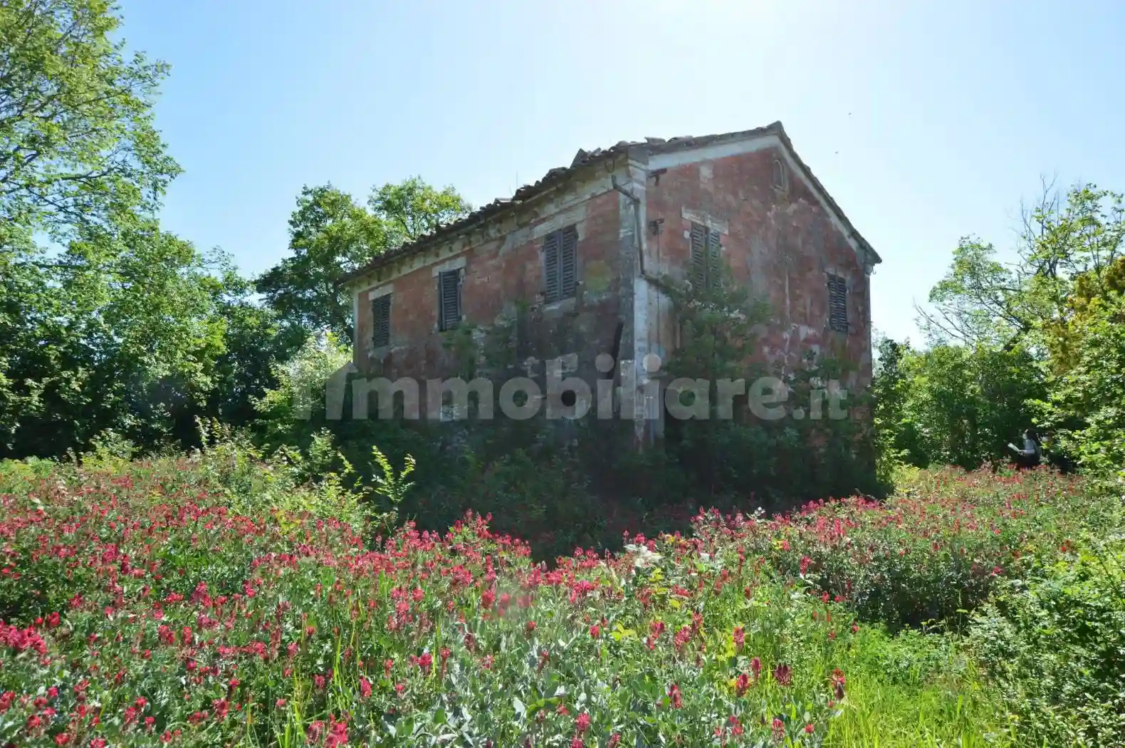 Rustico - Casale - foto 2