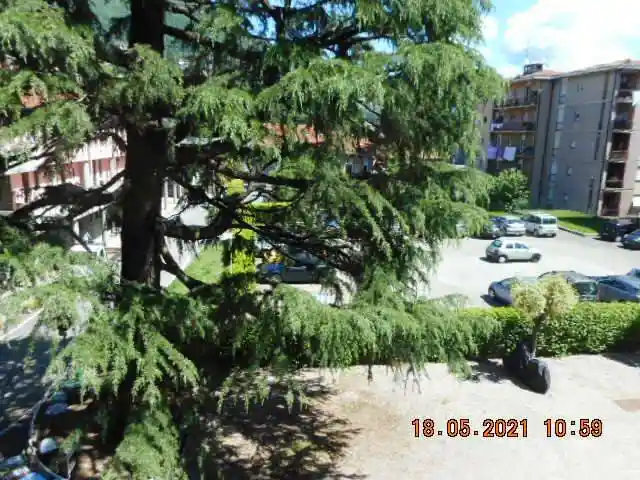 Quadrilocale via Polano 50, Tavernola, Como - foto 5