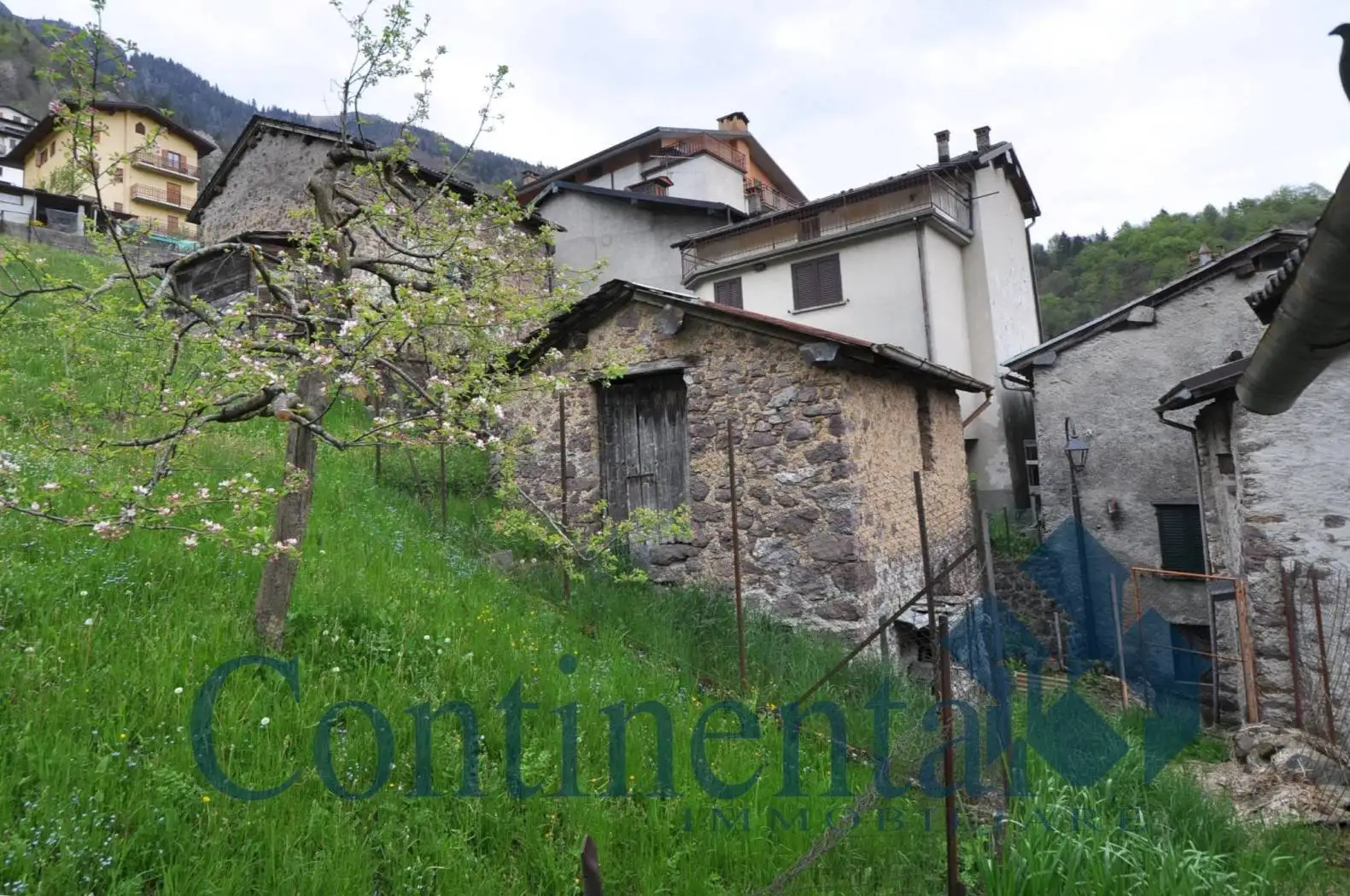 Baita via centro 1, Cusio - foto 3