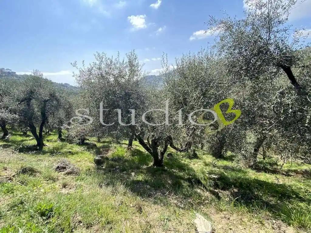 Rustico - Casale in vendita a Perinaldo