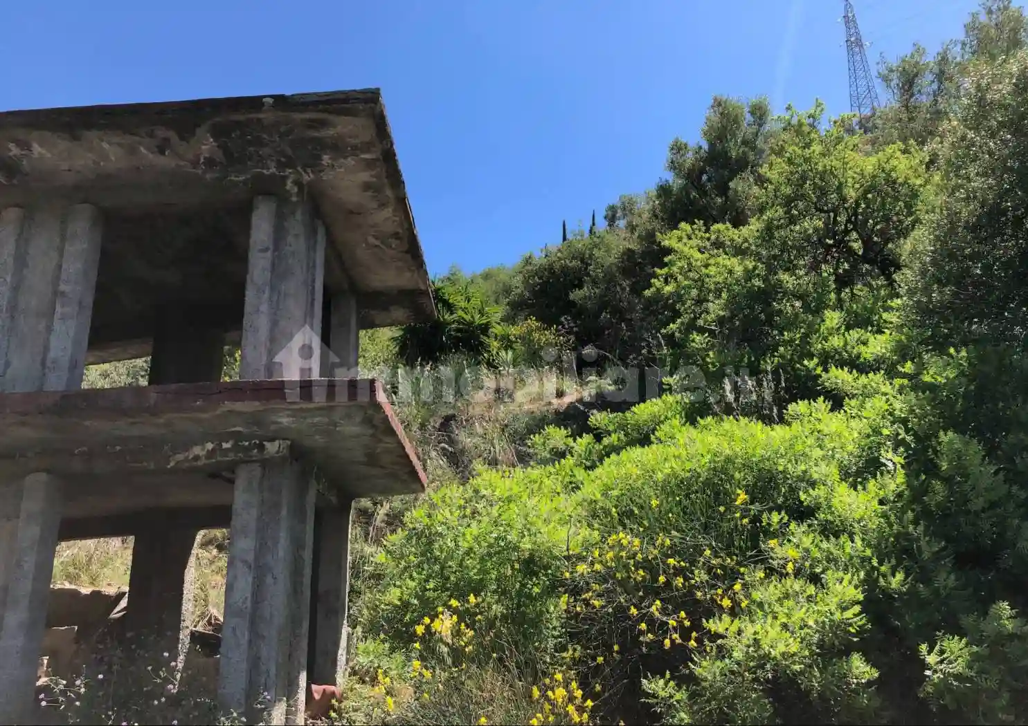 Palazzo - Edificio - foto 4