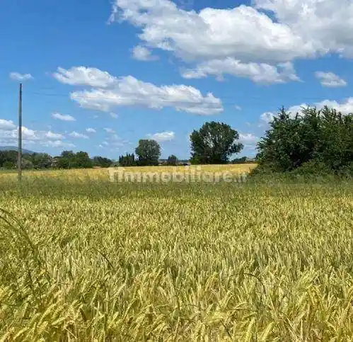 Rustico - Casale in vendita a Assisi