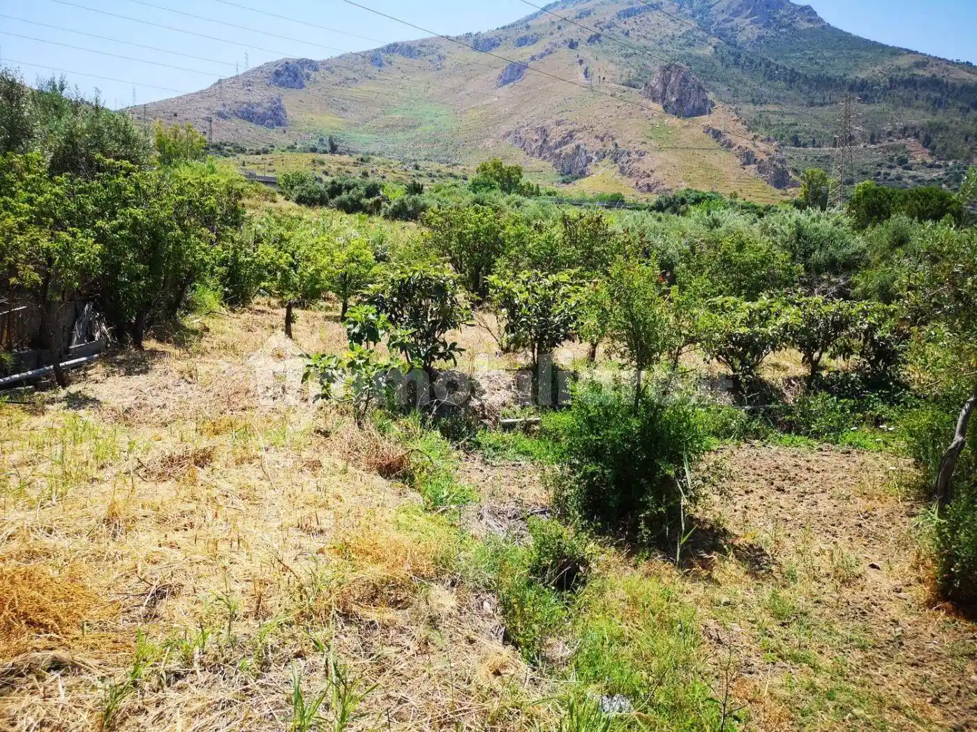 Rustico - Casale in vendita a Termini Imerese